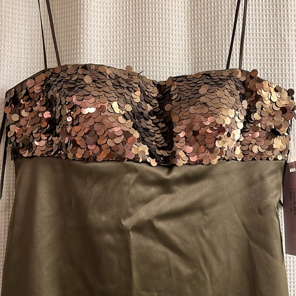 Ladies dress NWT - Picture 2 of 8